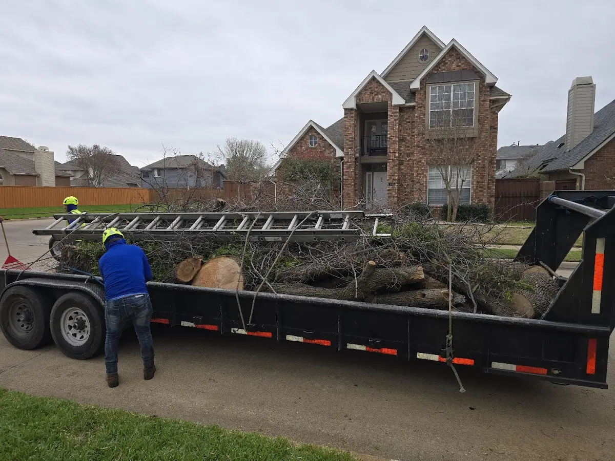 Expert Lot Clearing with proper safety equipment in Circle Pines